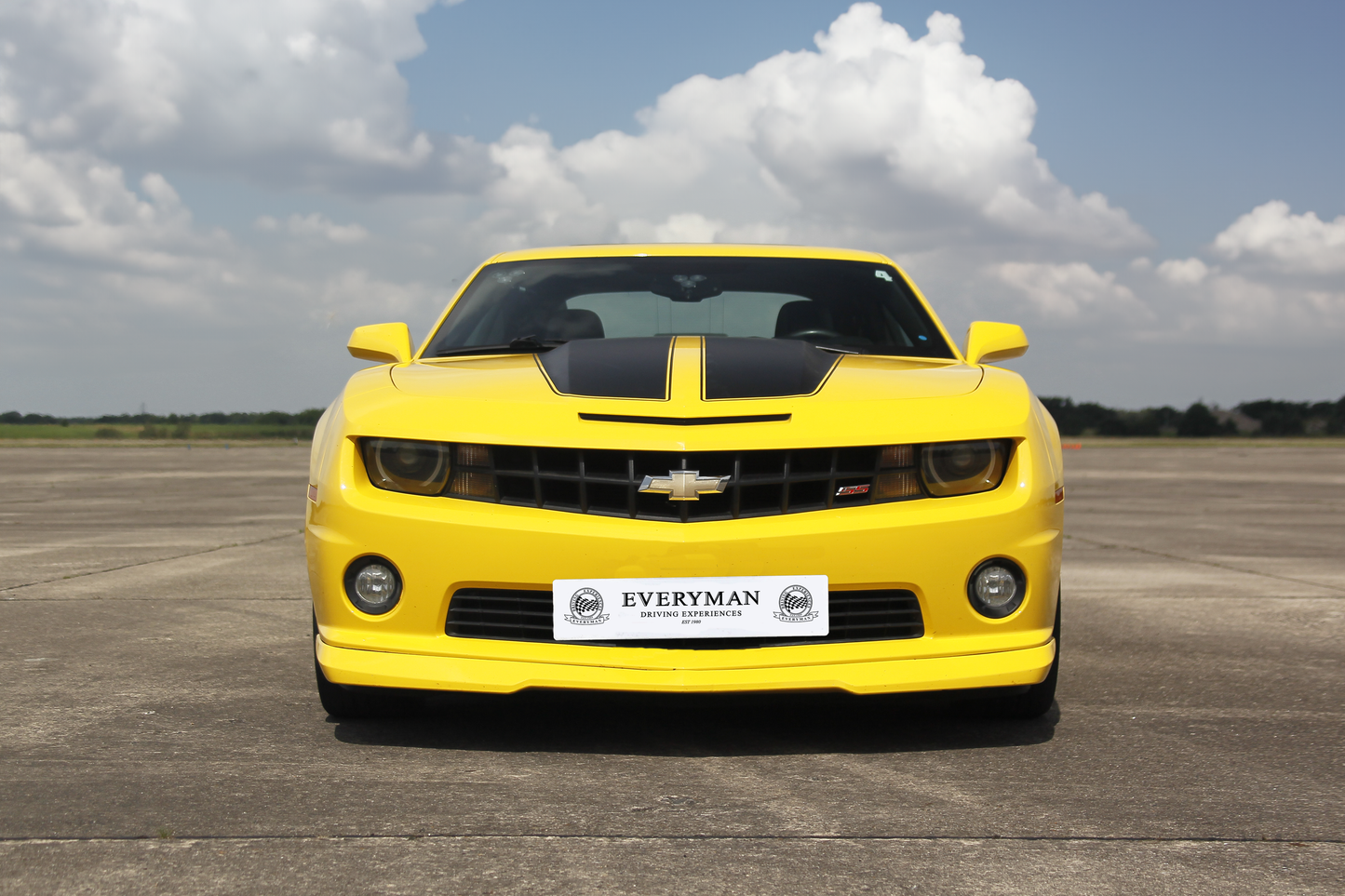 Bumblebee Driving Experience